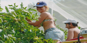 I NOSTRI VALORI E IL NOSTRO LAVORO