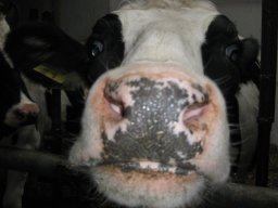 azienda_agricola_la_quadra_14_20150520_1676292033