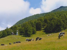 immagine_20160114_1748721369
