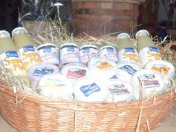 sam_1355_20160114_2095865718